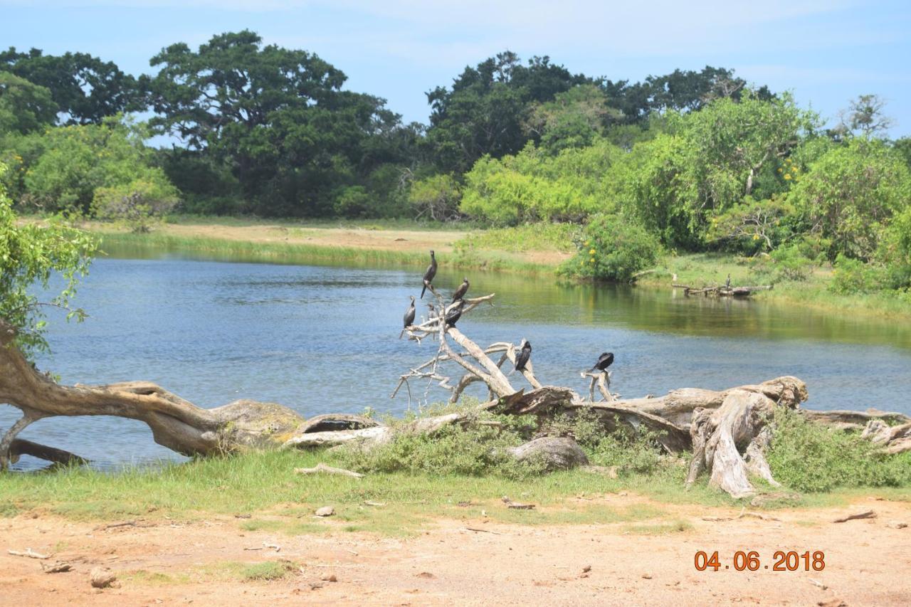 Double Lake View Tissa & Safari Tissamaharama Exterior foto